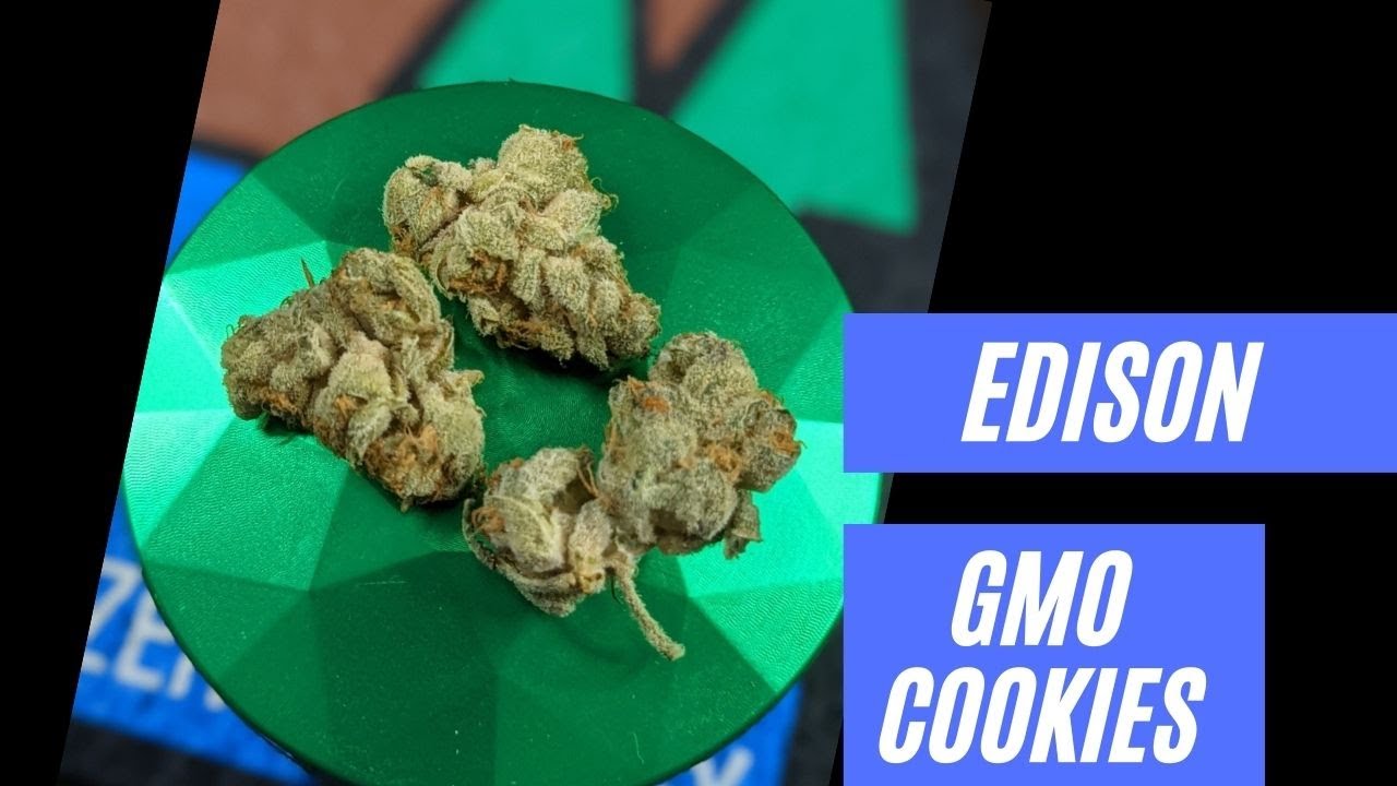 Edison GMO Cookies Cannabis Review