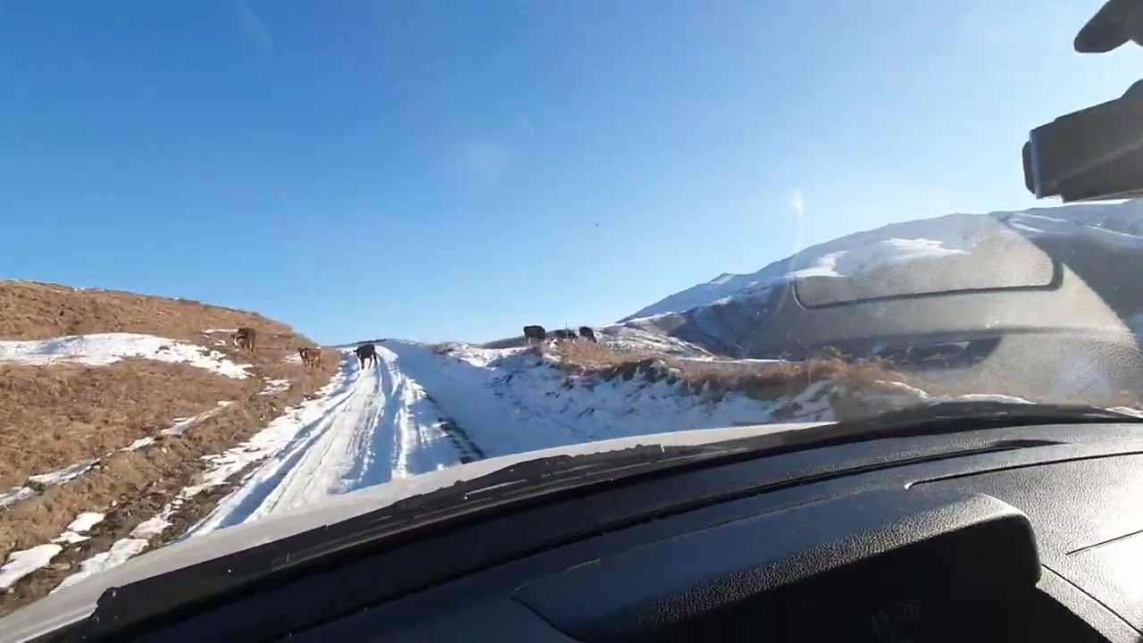 Даргинская душевная песня