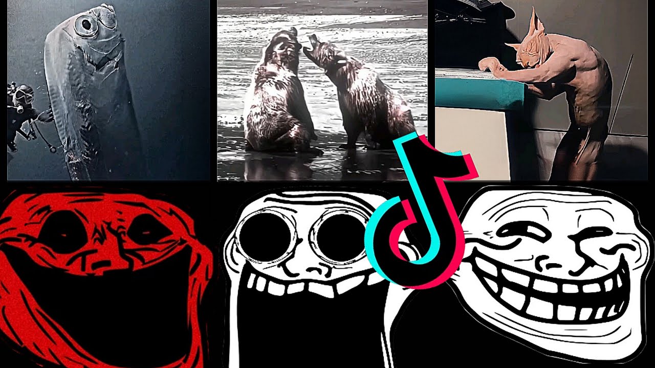 🥶 Coldest TrollFace Compilation 🥶 Troll Face Phonk Tiktoks 🥶 Coldest Moments Of All TIME #9