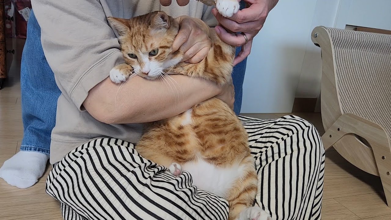 가지 손톱 깎았어요 (26.02.16)