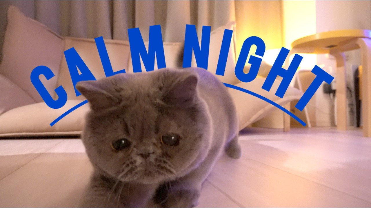 Nothing on His Mind | Boonyan’s Calm Night