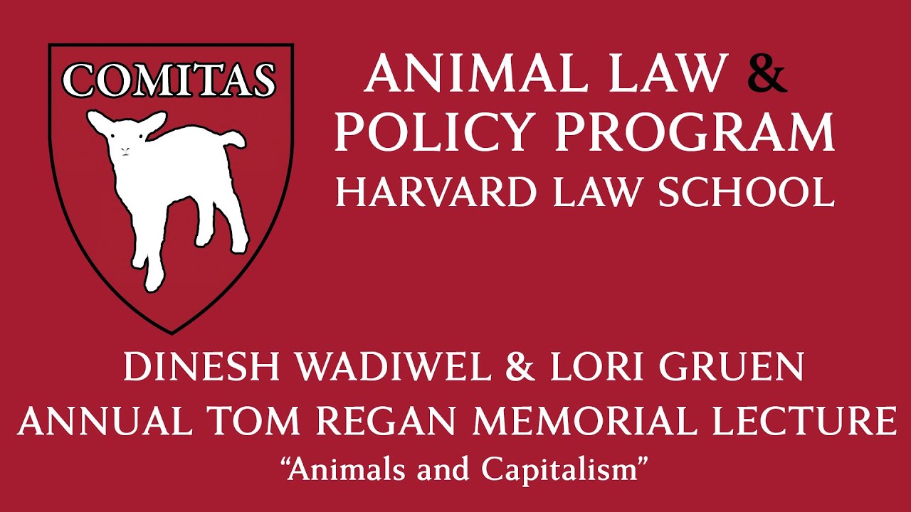 Tom Regan Annual Memorial Lecture 2024: 