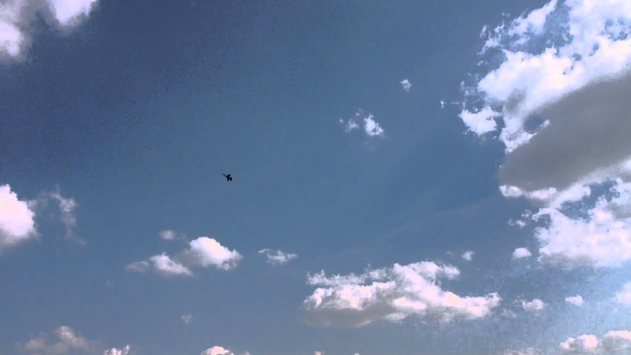 Skymaster F16 1/8 EDF Schübeler DS-94 HST DSM 6740-650