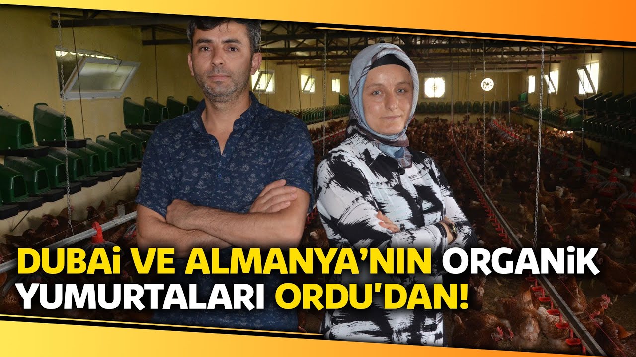 Organik Yumurta Üretimi Yapan Çift, İhracata Başladı