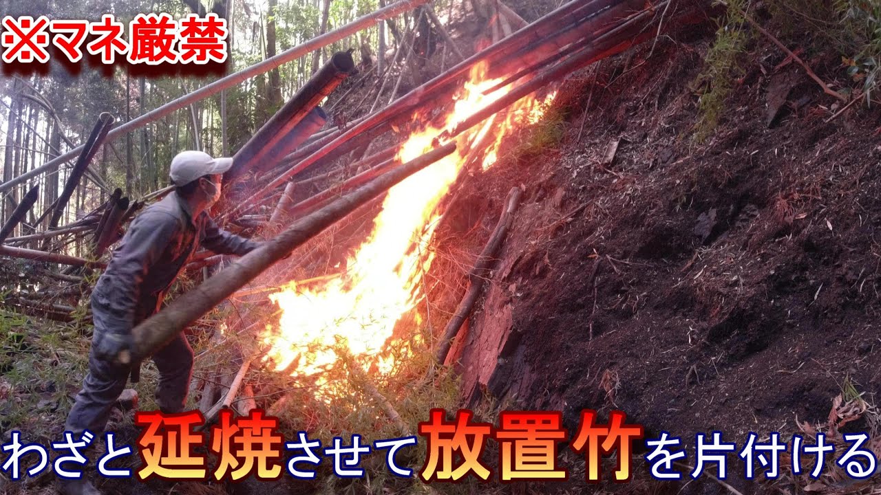 竹林整備【マネ厳禁　急斜面の竹山でわざと延焼させて放置竹を片付ける】（放置竹林・野焼き）
