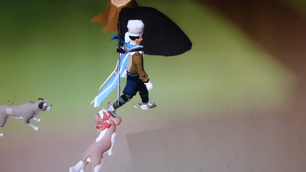 Runescape -Queste - Princess and the pauper