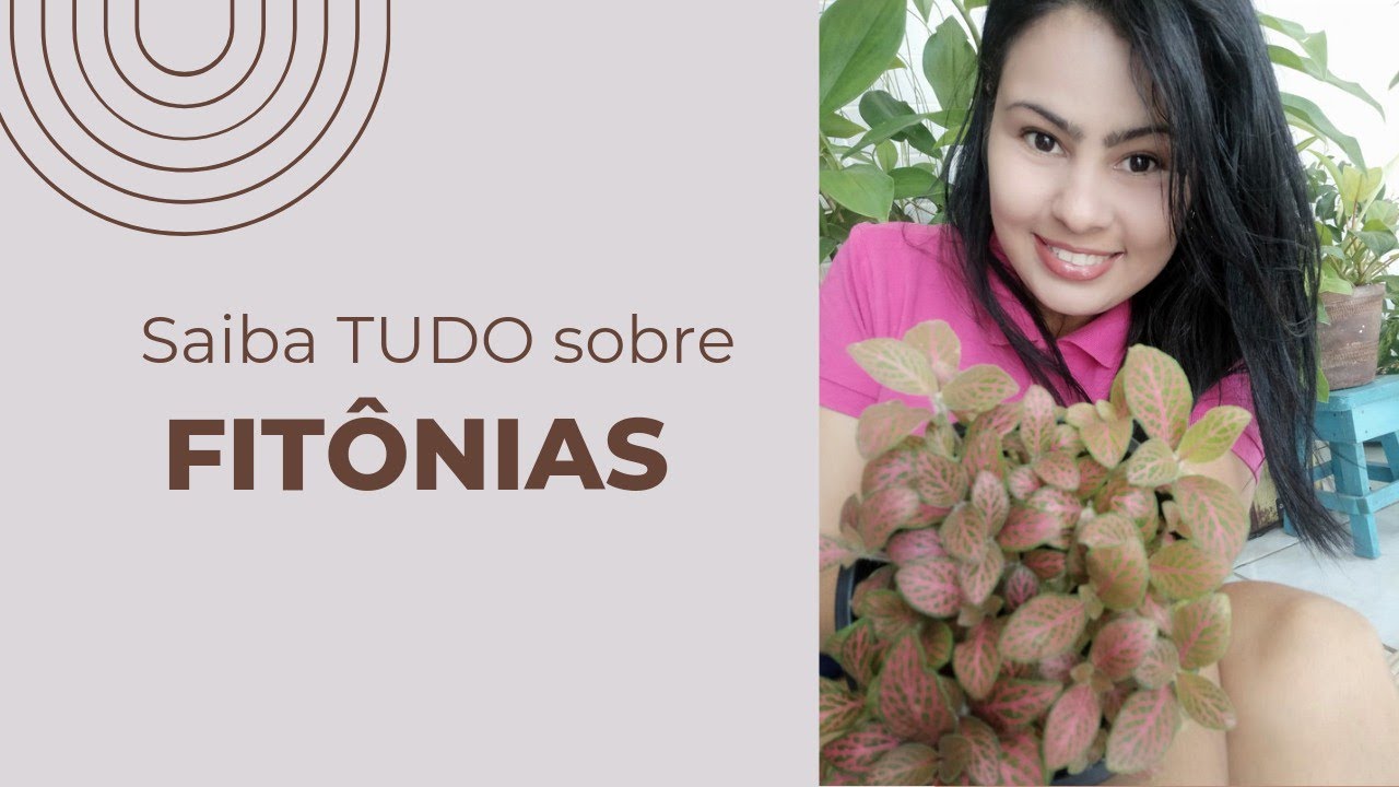 🟣🔴🟣Como CUIDAR de FIT&Ocirc;NIAS / planta Mosaico - DICAS 🟣🔴🟣
