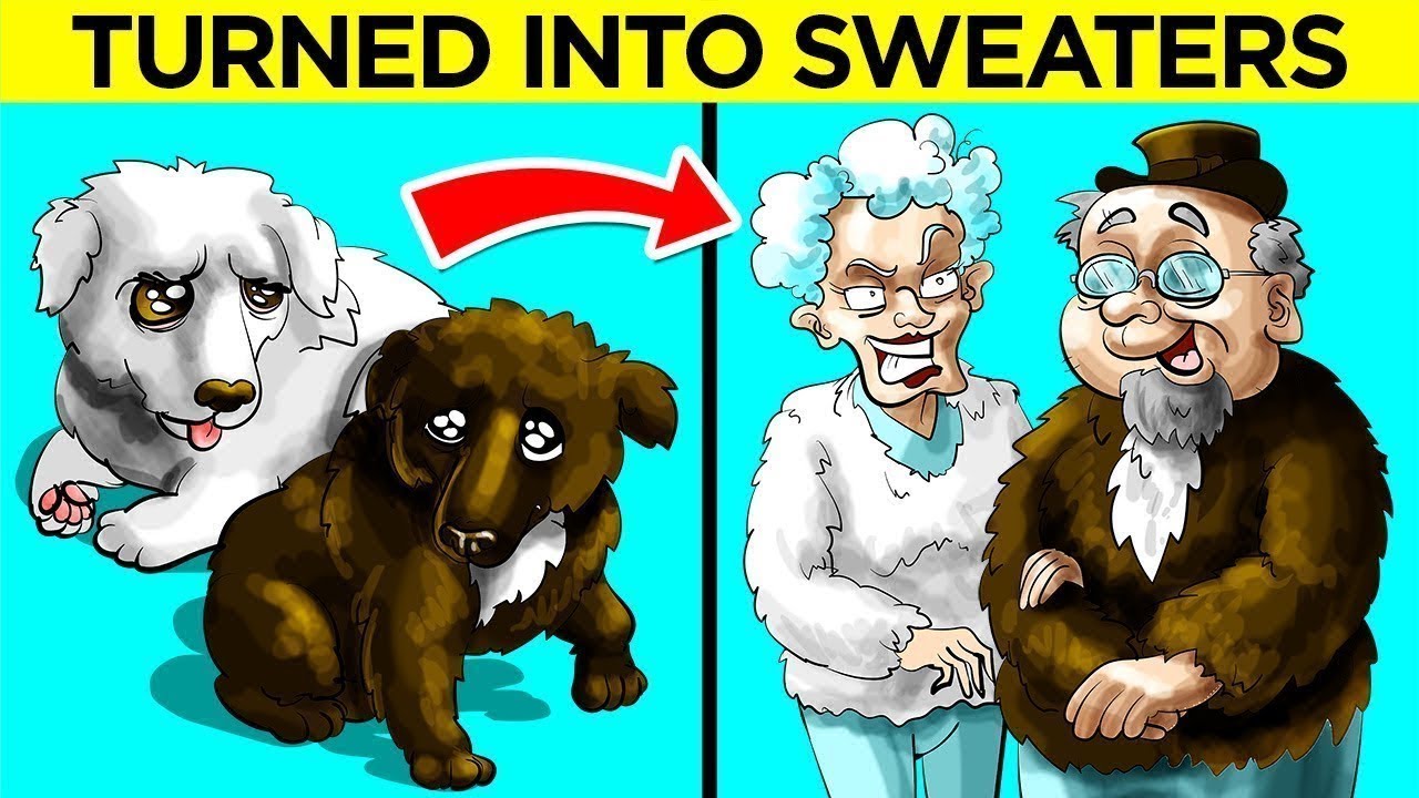 STRANGEST Pet Owners In The World