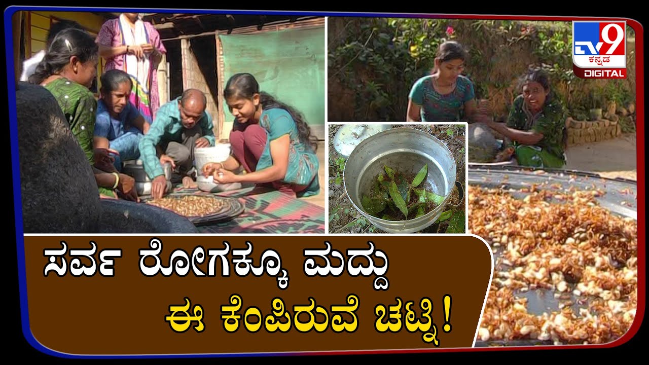 Red Ant Chutney Of Chikmagalur Can Be A Miraculous Cure For..!