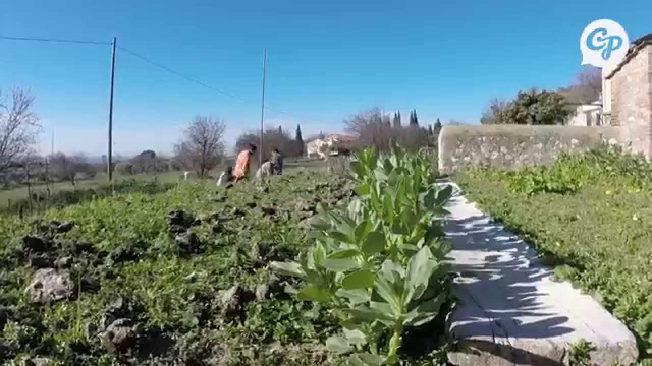 Terre de Mars : l'agriculture débarque en ville