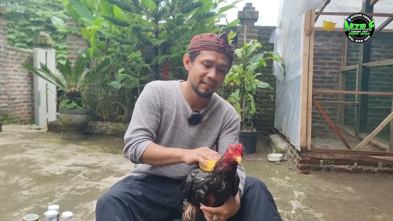 Juara karna disiplin