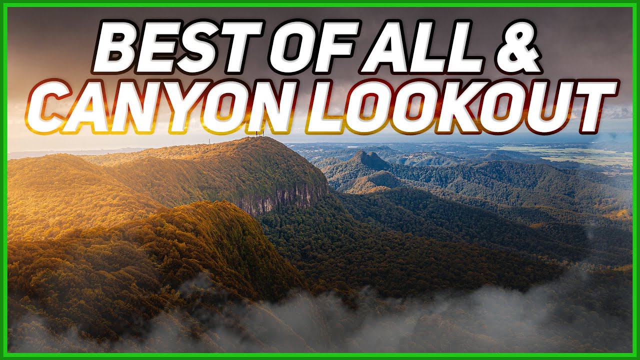 Best of All Lookout & Canyon Lookout // Springbrook National Park, Gold Coast