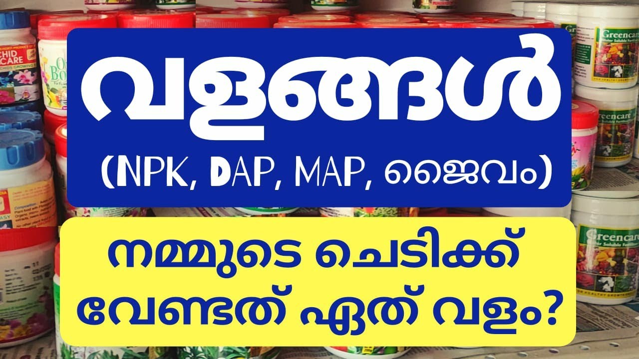 നമ്മുടെ ചെടികൾക്ക് ശരിയായ വളം എങ്ങനെ തിരഞ്ഞെടുക്കാം (ജൈവവളം/രാസവളം) What is NPK,DAP, MAP (Malayalam)