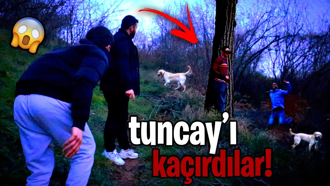 ORMANDA &Ccedil;UVALDA K&Ouml;PEK BULUNCA ORTALIK KARIŞTI! (ikiz belalar) - BOYKA