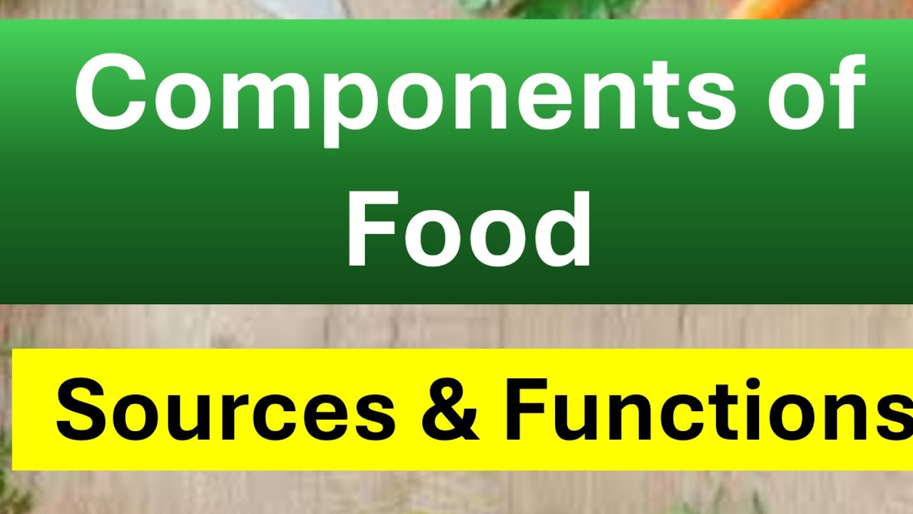 Components of Food || Sources and Functions || Science Lesson