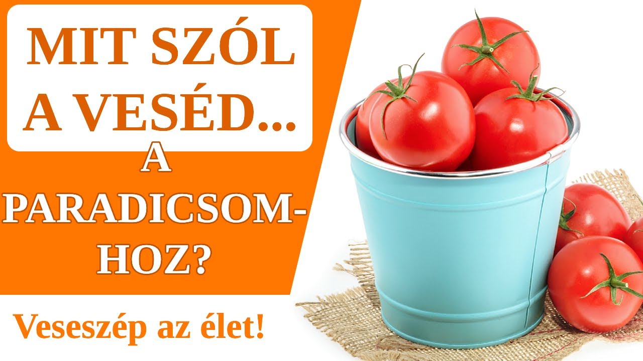 Mit szól a veséd a paradicsomhoz? 🍅 Ellenség vagy sem?
