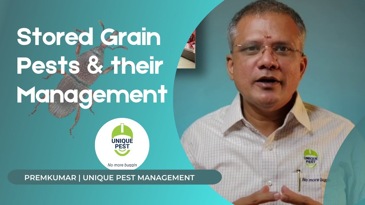 Stored Grain Pests and their Management | Prem Kumar | Unique Pest Management