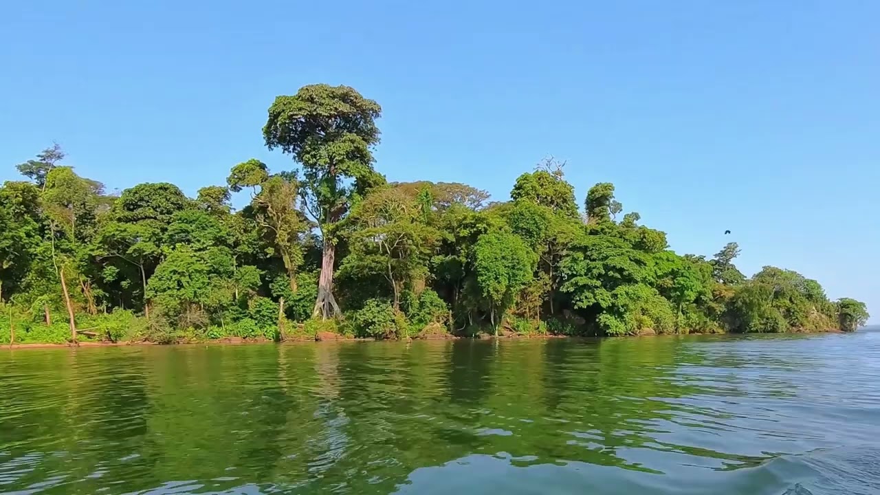 🌴 Escape to the Enchanting Ssese Islands | Uganda’s Hidden Paradise 🌅 #beatifulnature #4k