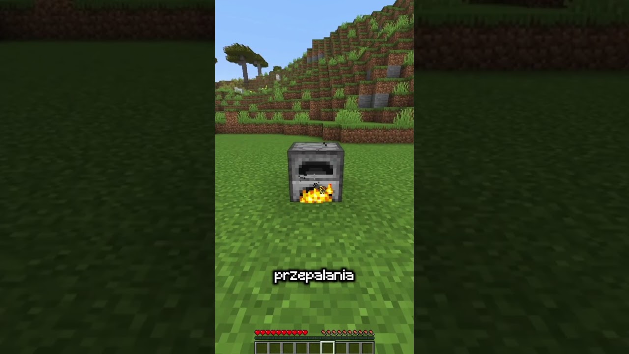 SCIOLKA Z LIŚCI to NAJLEPSZE Paliwo w Minecrafcie