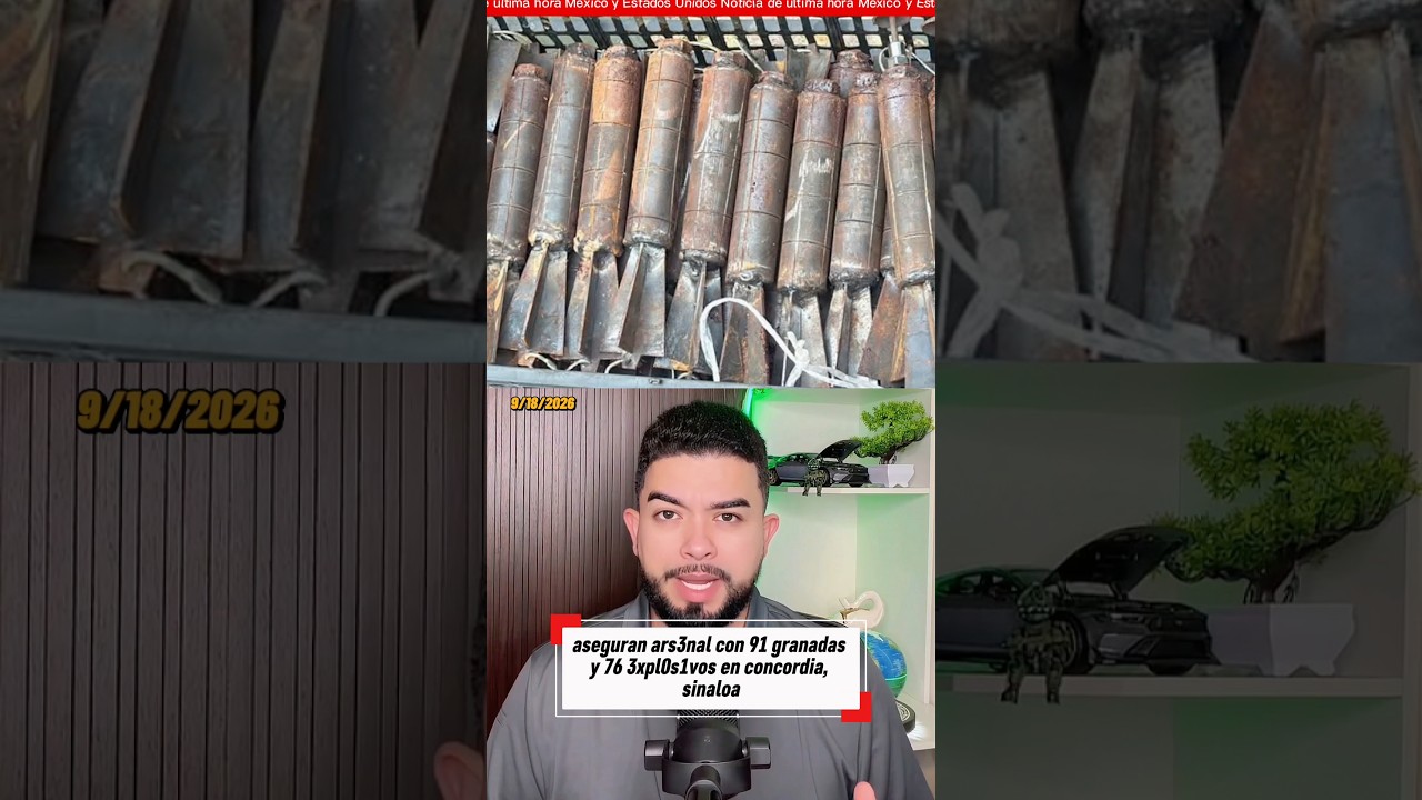 arsenal seized with 91 grenades and 76 explosives in concordia, sinaloa