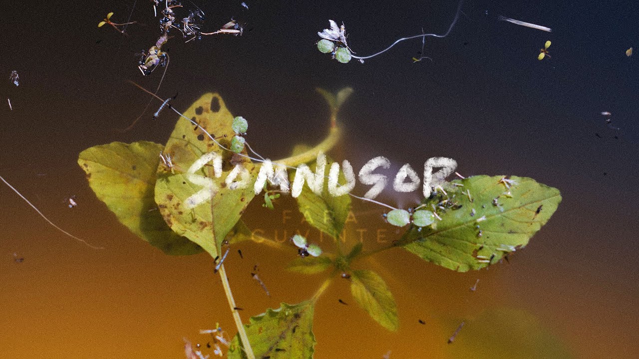 Somnușor - F​ă​ră Cuvinte FULL ALBUM