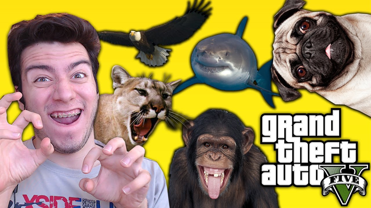 GTA 5 BÜTÜN HAYVANLAR!