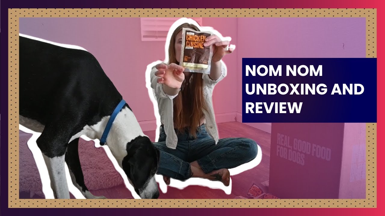 Nom Nom Unboxing and Review - Spoiling My Dog with Nom Nom