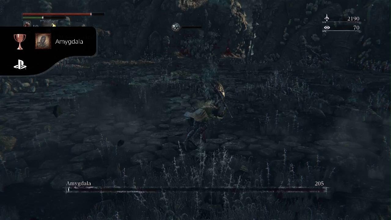 Bloodborne: Oh my amygdala