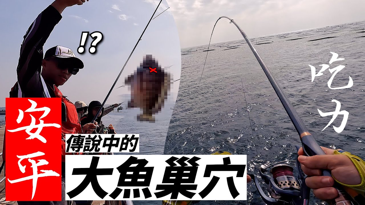【台南安平】在地人說丟出去就有大魚...有這麼簡單？你也該來試試！【圖鑑EP2】黑格 ft.@R J @加珍珠&甘那迪 #釣魚 #磯釣 #台南 4K釣魚影片 安平南堤