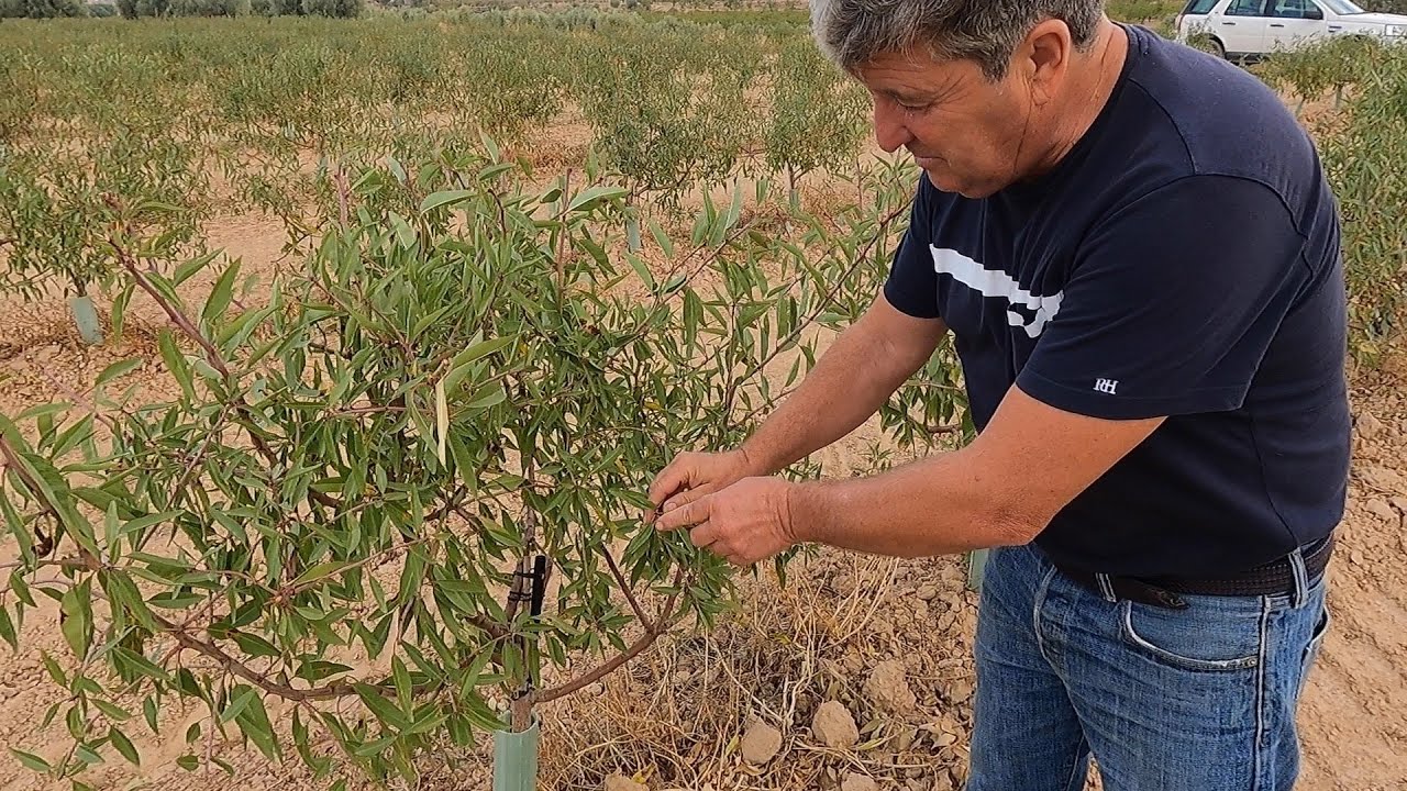 Ecologico SI o Ecologico NO.