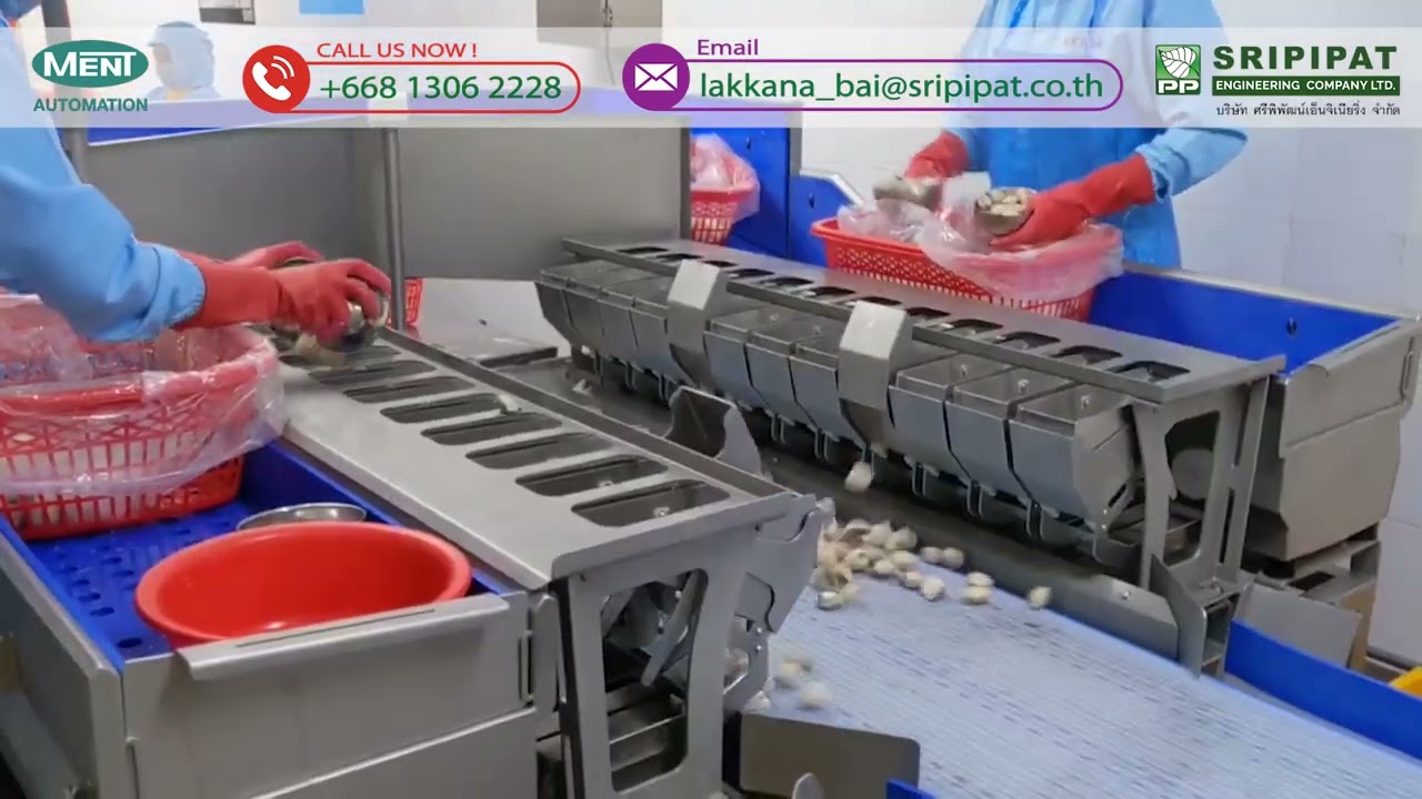 Combination Weigher - Target Batcher -Combination Weigher