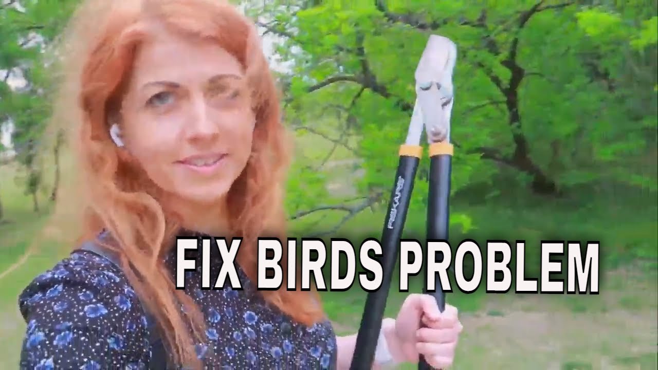 WHAT I DONE TO KEEP BIRDS OFF MY BACK PATIO