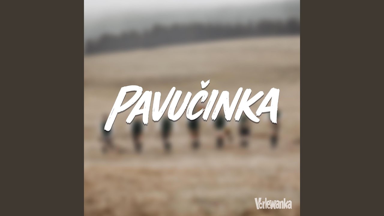 Pavučinka