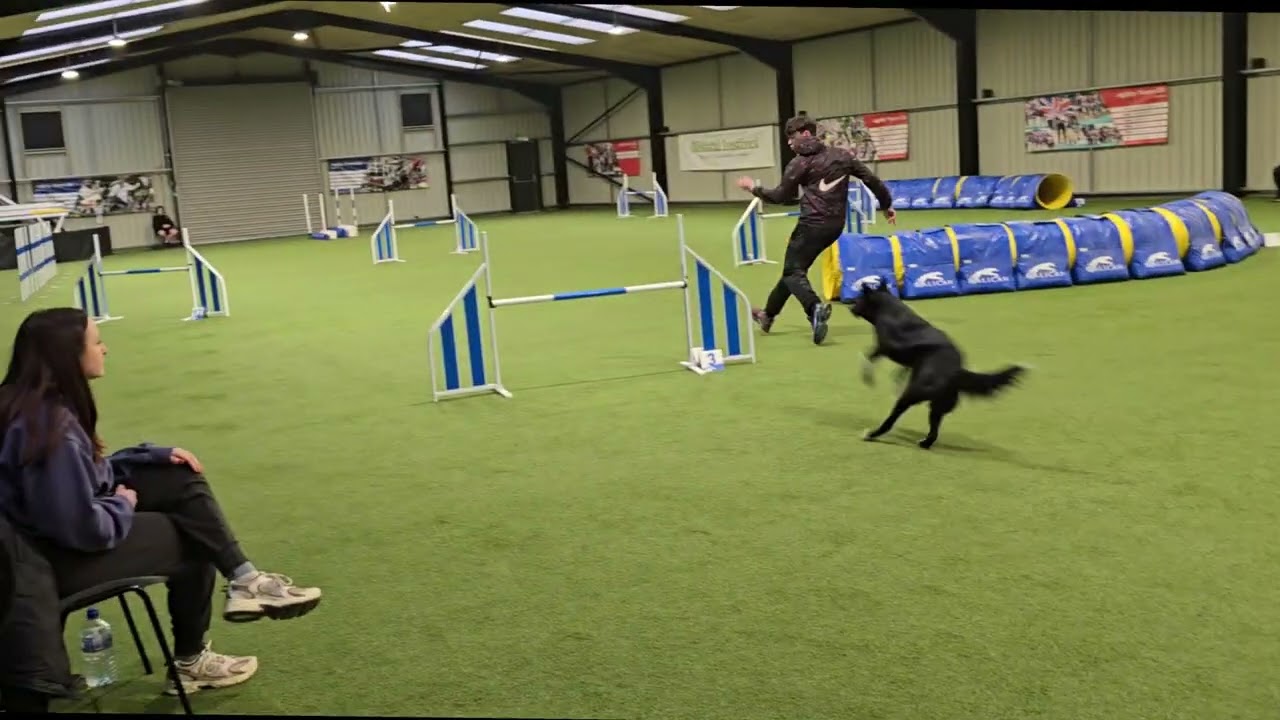 Dog Agility Team GB junior tryouts 2025