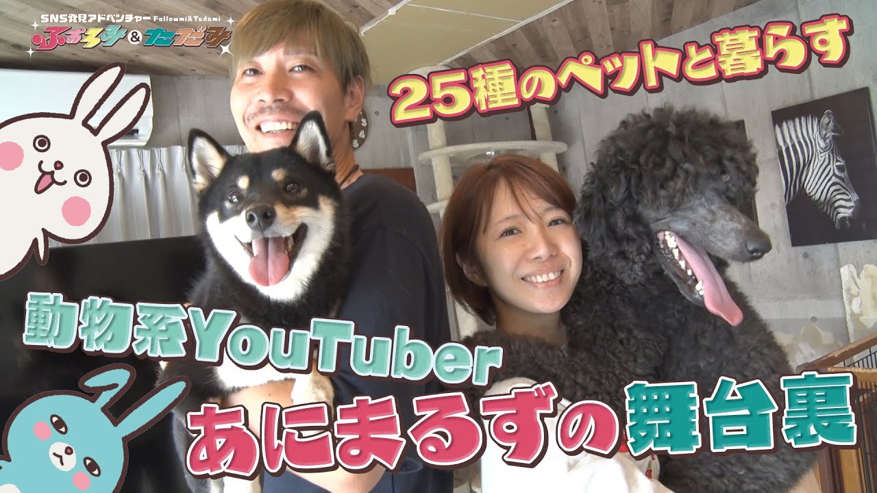 かわいいペットが25種類！動物系ユーチューバー・あにまるずに密着！ ふぉろみ＆ただみ