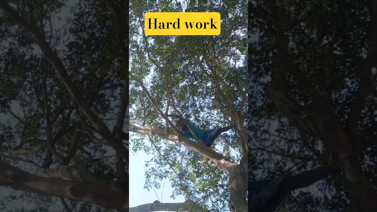 Thakida Thakida Thaa 💪 | Akshitha Ashok 