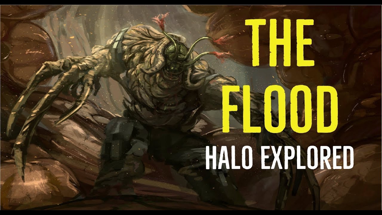 The Flood (Halo Explored)