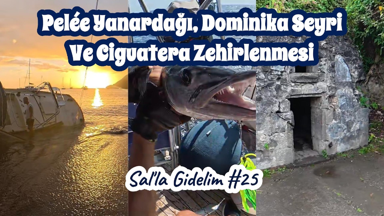 Bölüm 25 - Pelée Yanardağı, Dominika Seyri ve Ciguatera Zehirlenmesi