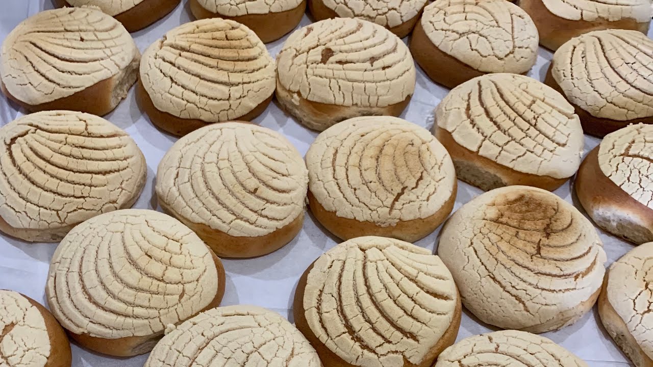 CONCHAS SABOR QUESO CREMA,para negocio!!