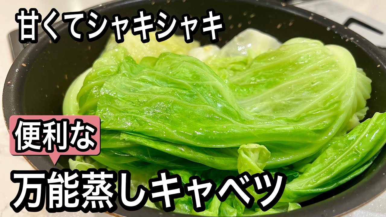 【キャベツ1玉保存】美味しさも栄養も逃さない！生より万能！使い切り人気レシピ4品