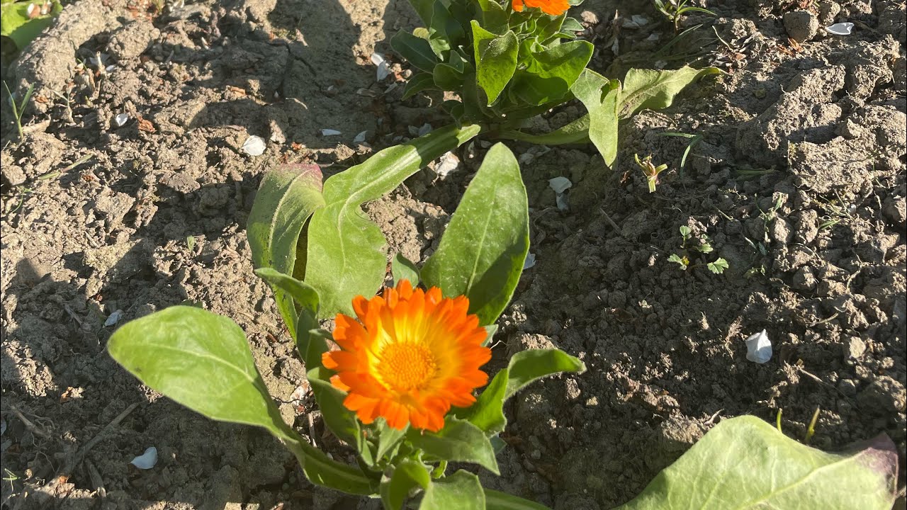 Diario di campagna da Sabato 13/04 a Giovedì 18/04