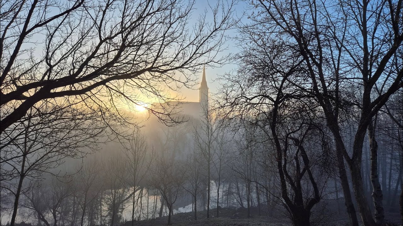 2025-11-16 Švč. Mergelė Marija, Gailestingumo Motina  | br. Ramūnas Mizgiris OFM | Rasa Lapienė