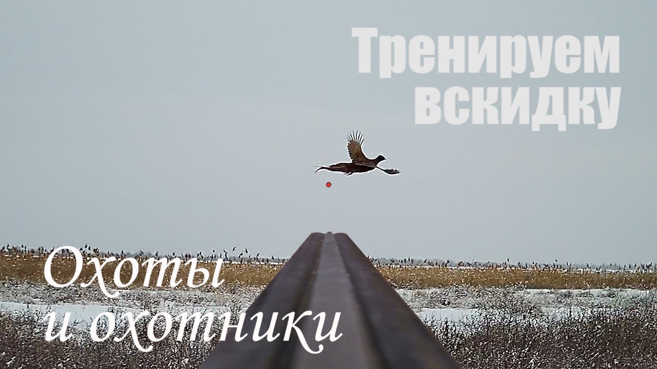 Как тренироваться с ружьем дома - тренировка вскидки и как научиться стрелять на охоте.