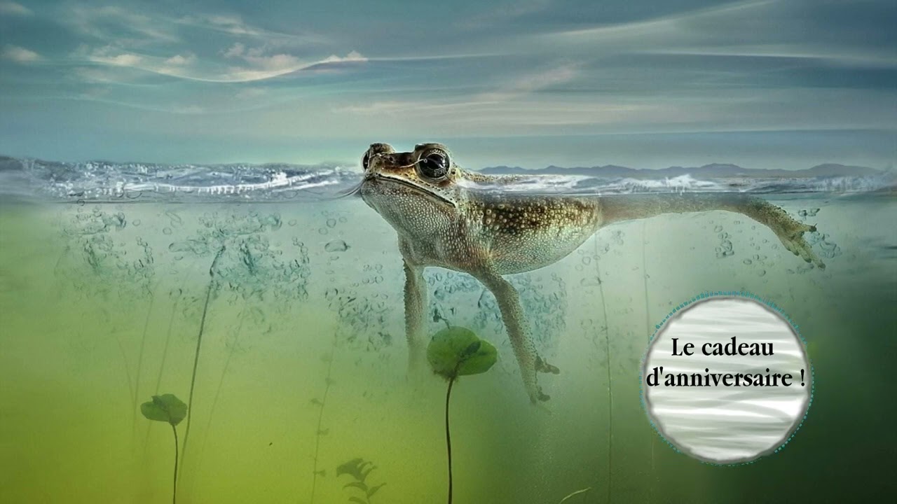 Blague: Le cadeau d'anniversaire !