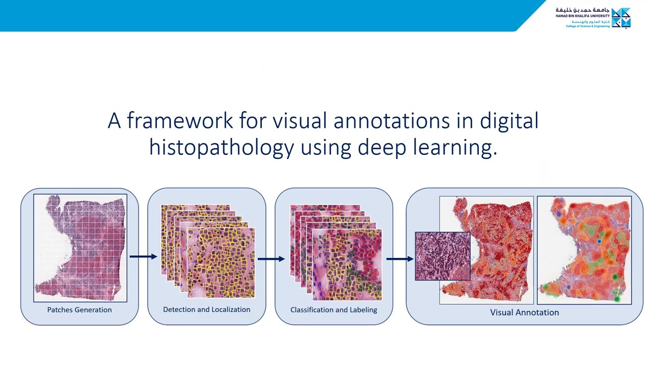 An AI-BASED VISUAL EXPLORATION OF NEUROSCIENCE AND HISTOPATHOLOGY IMAGES