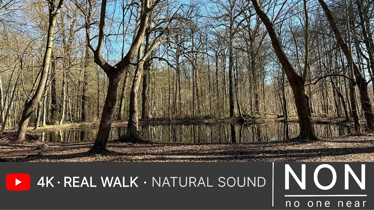 Walking - Peaceful Walk in Hof Ter Linden Park | Antwerp Nature | NON | 30 mins