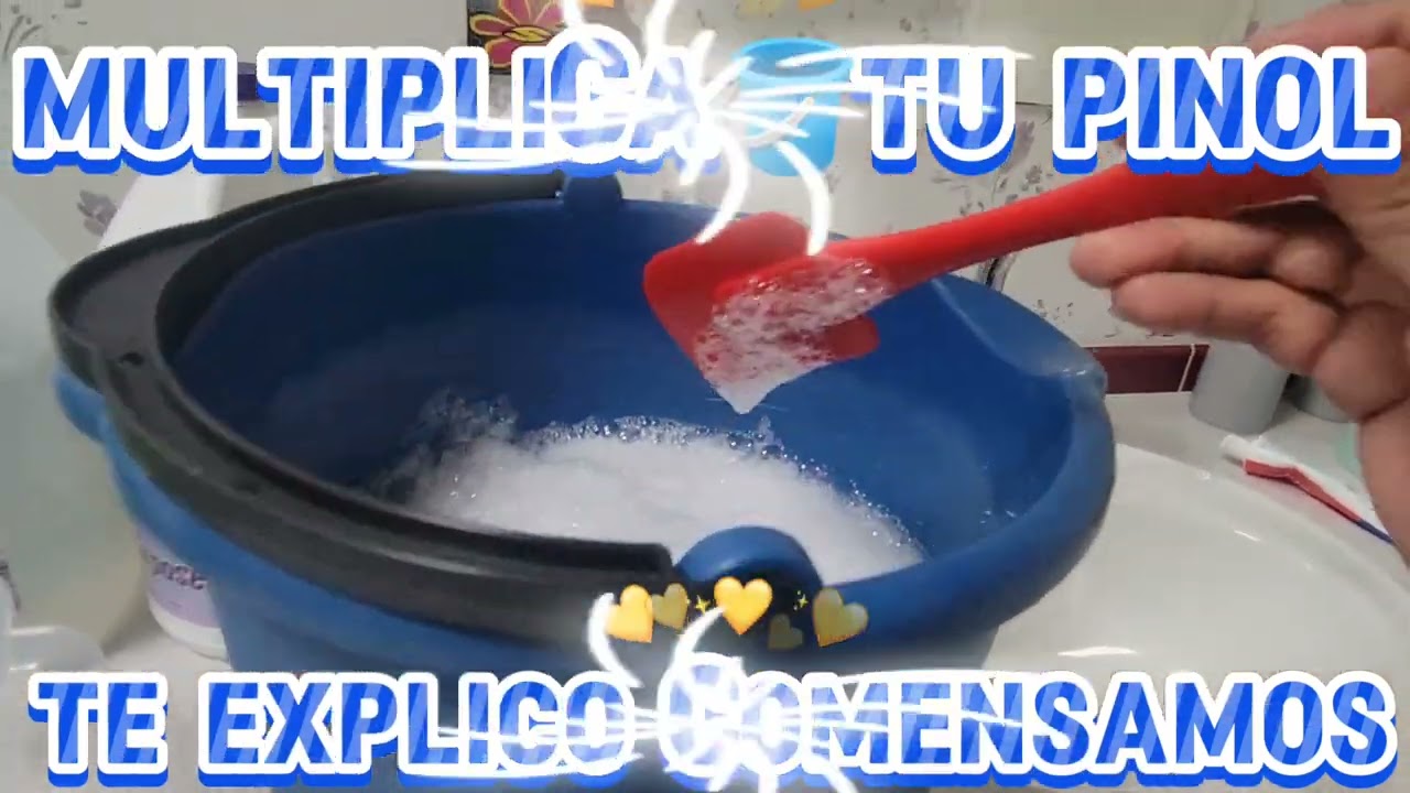 COMO MULTIPLICAR TU PINOL🪣COMENSAMOS GRACIAS POR VER EL VIDEO DIOS LOS BENDIGA