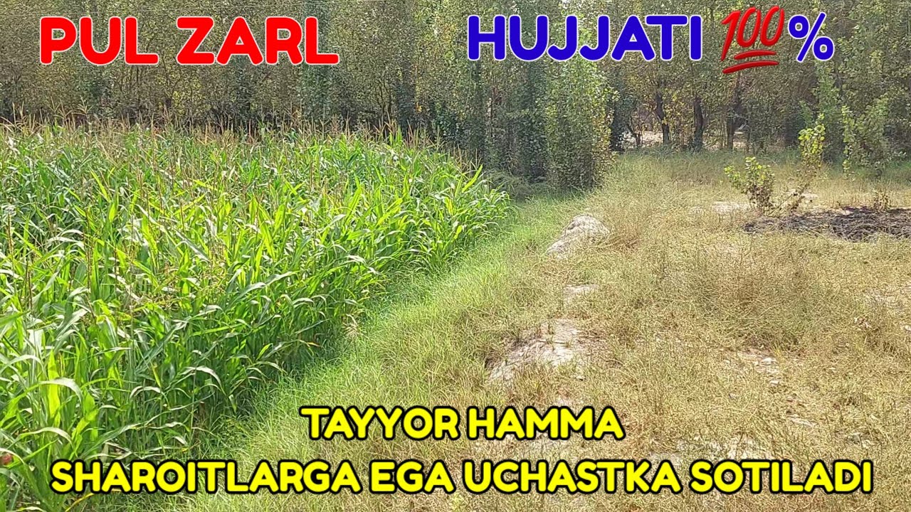 Barcha Sharoitlarga Ega Uchastka Sotiladi Pul Zarl