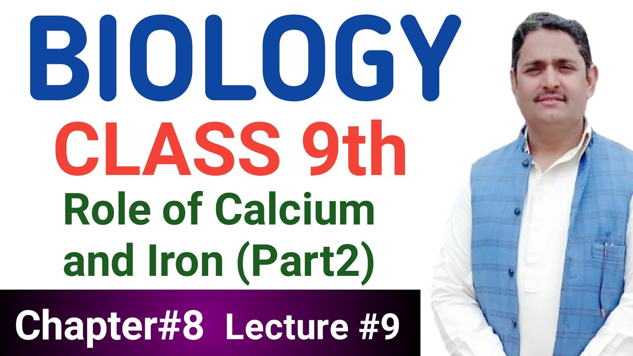 Role of Calcium and Iron Class 9 | Biology | Chapter 8