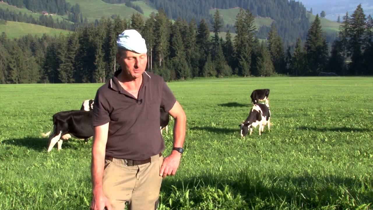 Kambly Erlebnis Tour - Milchwirtschaft im Emmental